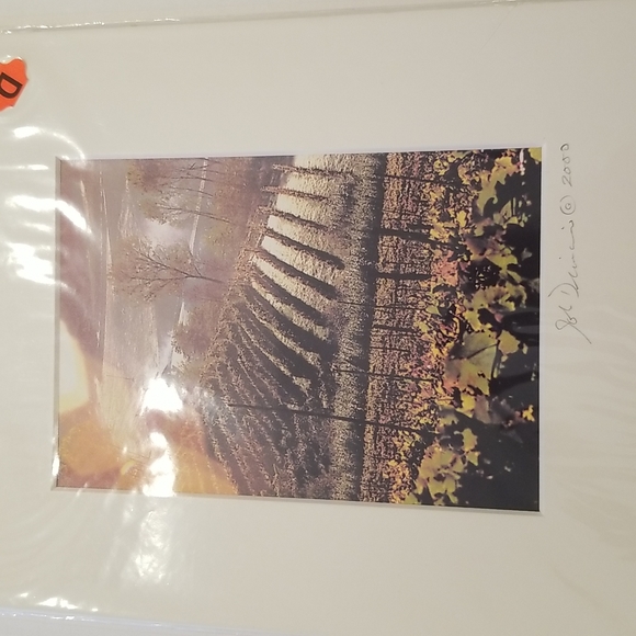 THE VINTAGE COLLECTION JOHN DIMAIO PHOTOS 1998 & 2000 PRINTS IN SEALED WRAPPER - Picture 6 of 8